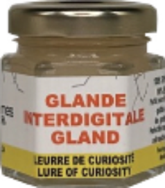 Glande Interdigitale en gel