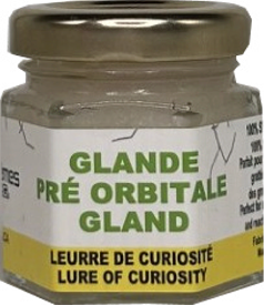 Glande Pré-orbitale en gel