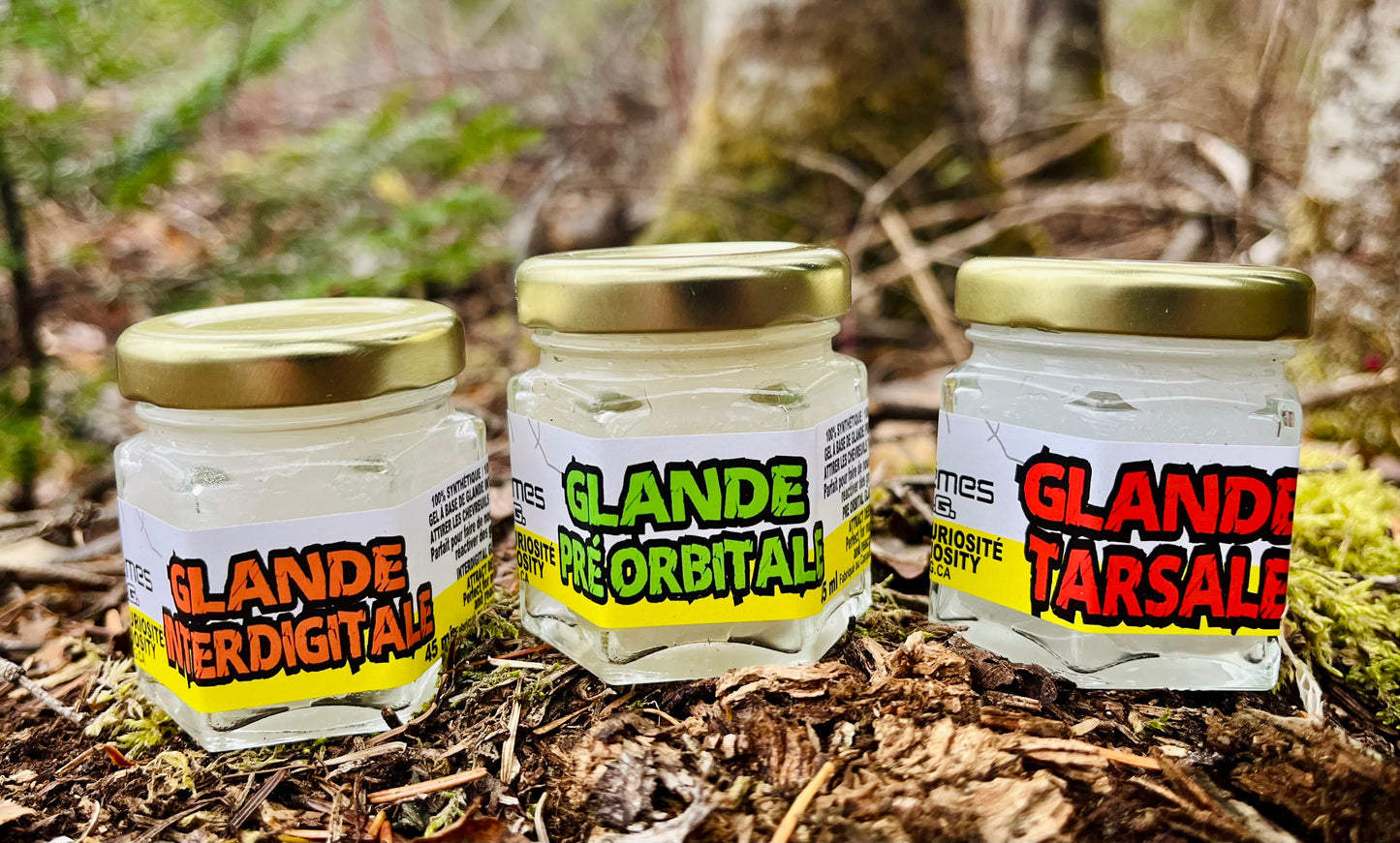 Trio de Glandes - Chevreuil - Tarsales, Pré-orbitales, Interdigitales