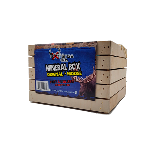 Minéral Box - Orignal - Anis