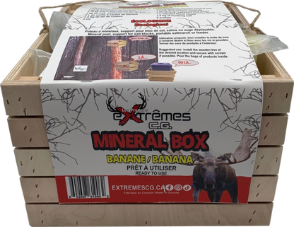 Mineral Box - Moose - Anise