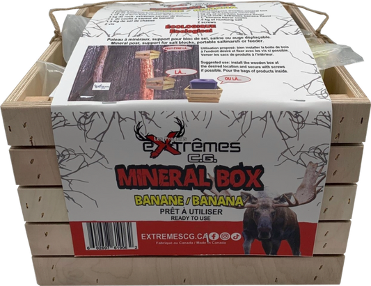 Mineral Box - Moose - Anise