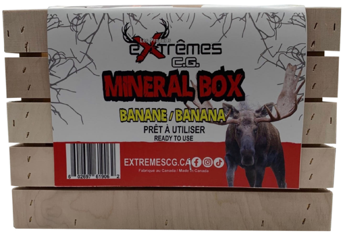 Mineral Box - Moose - Anise