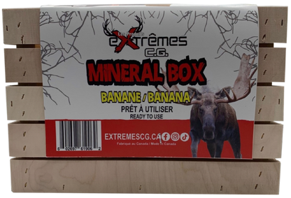 Mineral Box - Moose - Anise