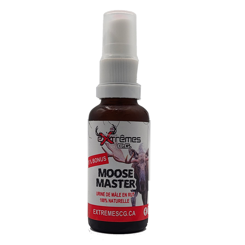 Moose Master - Urine d'orignal - Mâle en rut