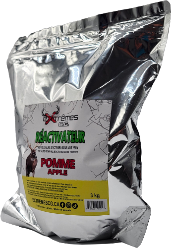 Réactivateur - Saline