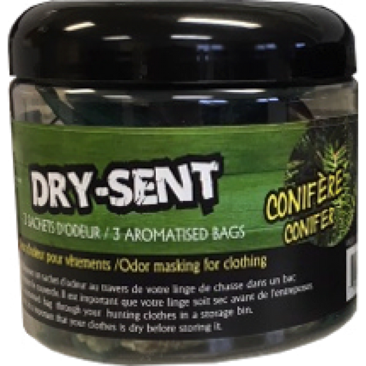Dry Scent - Conifère
